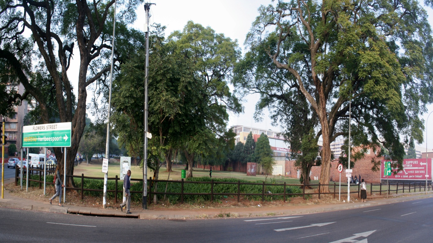 Panoramic view of the Park of 9 from Flowers Street. Photograph courtesy of Anjuli Webster.